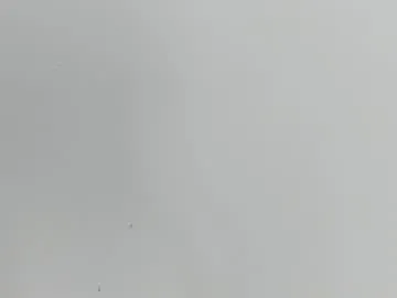 katy_and_paola Image 18